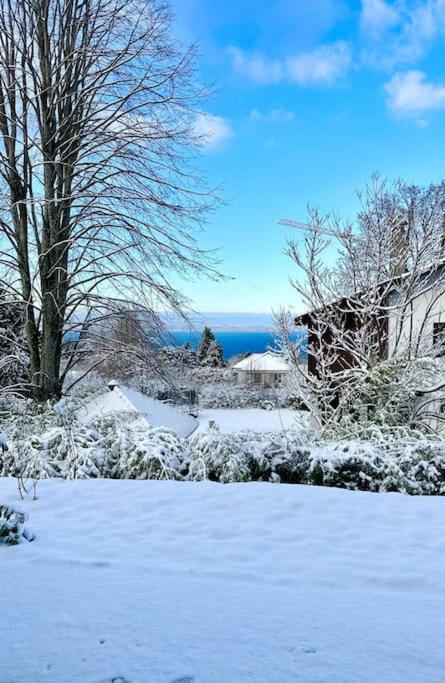 Royal Park Lake View Apartment Évian-les-Bains Dış mekan fotoğraf